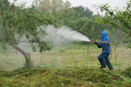 八年结两个苹果，从此果园长出的苹果不会烂！