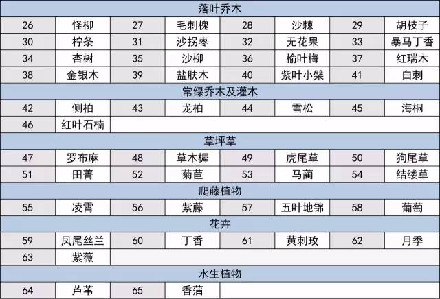 海绵城市建设选用什么苗？