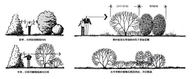 0a48a184a9b66f835eb3c8993b4fe34d.jpg