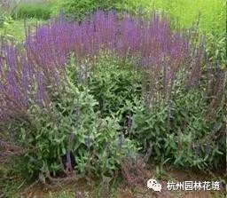 d6593f8adbfdeb36e974cff346ac9ae8.jpg