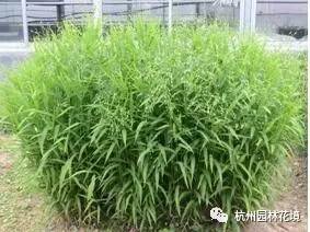 dd35be8d15ae6151f25d023a995e778f.jpg