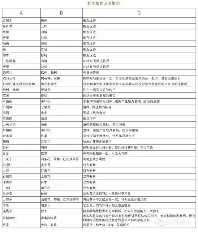 625dcad9025d74be6bfe11382a50a285.jpg