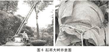 a562a2829e59154b164ffff62b71e12b.jpg