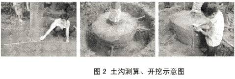 01db78eaa11a72acdff5a440b586b3c1.jpg