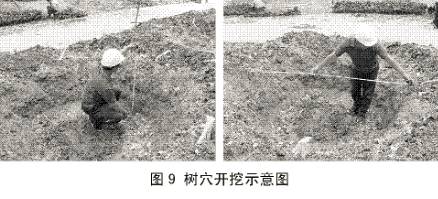 afa57c293f466983647050dc68bbfd72.jpg