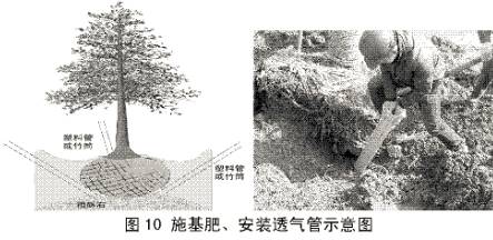 d7612bcc812a26aae8f5dad1585d6af1.jpg