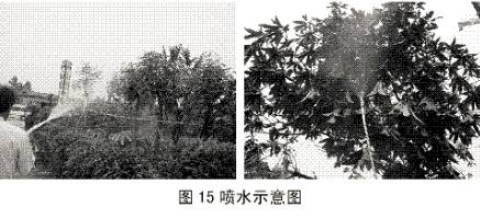 c00cc3ae105bb8249e5fa592deedae1d.jpg