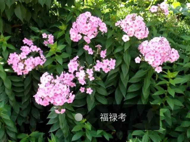 223ab39ac4648cdfe5be1f38e7eaf83a.jpg