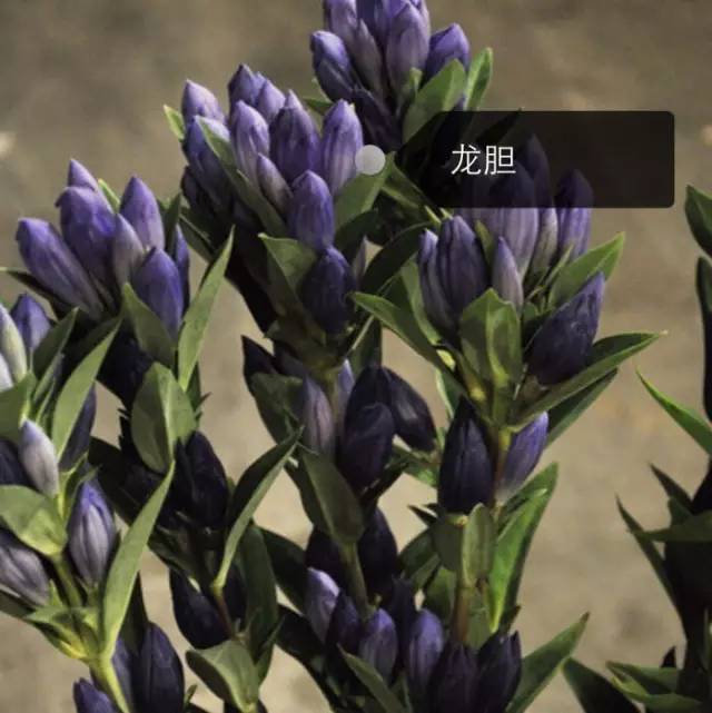ff61b101d4dff4e37da6e954257a8c88.jpg
