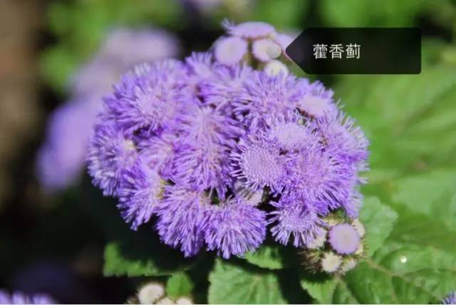 c57d8f08c99d9b64ac27f404a22a9c28.jpg