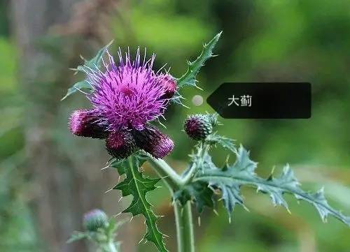 f51c409b55df44f0f9384f482ae74df6.jpg