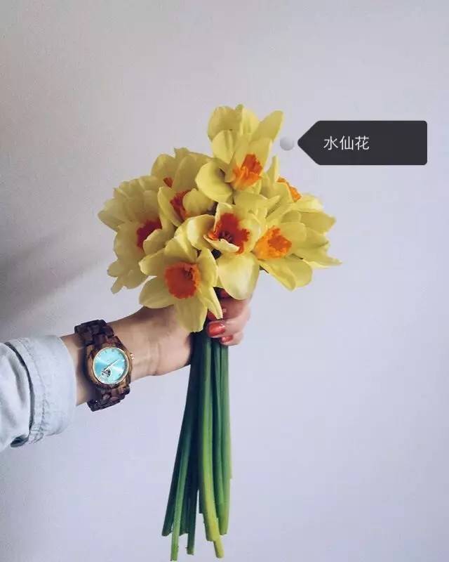 90813688d80df3c3d510be9d6d4c96d9.jpg