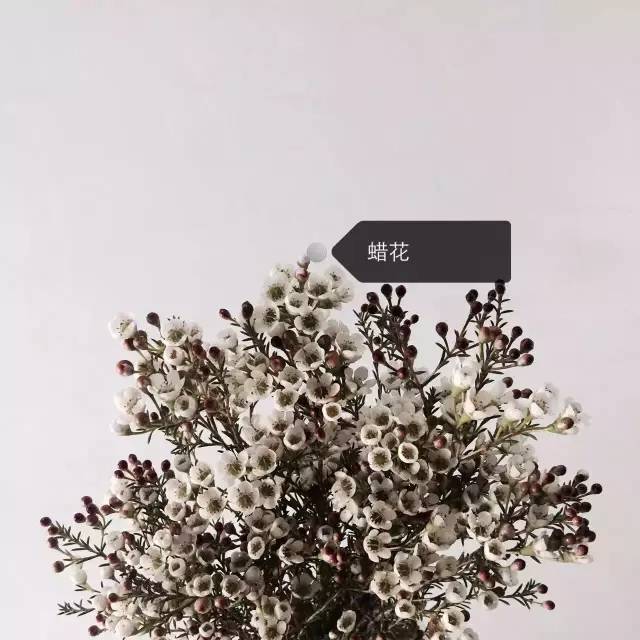 08a0c673bb42ddba1d1a7ac3fa088b6b.jpg