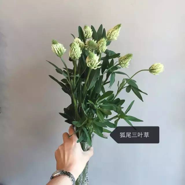 0c66ff970e4c20018e604fd3fa7a9b89.jpg