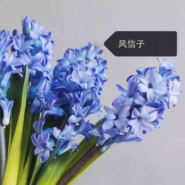 59f5619c2cc8b95d7226e3ca22c7f5ec.jpg