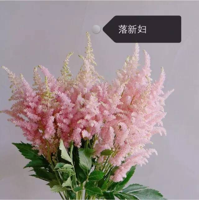 bea8123a6ef2da83da94ee999f618461.jpg