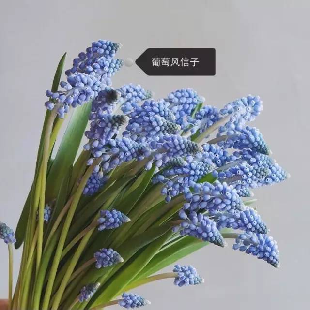 962d2e6d0b96913344b803c87bd80bff.jpg