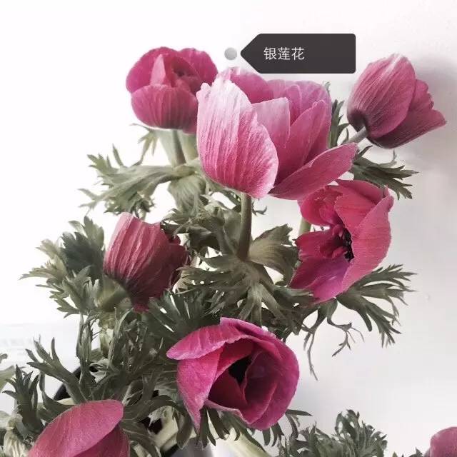 222d83c9b36851845f4e8a91e010727c.jpg
