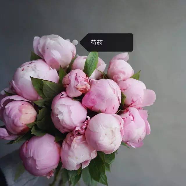 7defe784809330dd253d2e3c9f4ba0eb.jpg