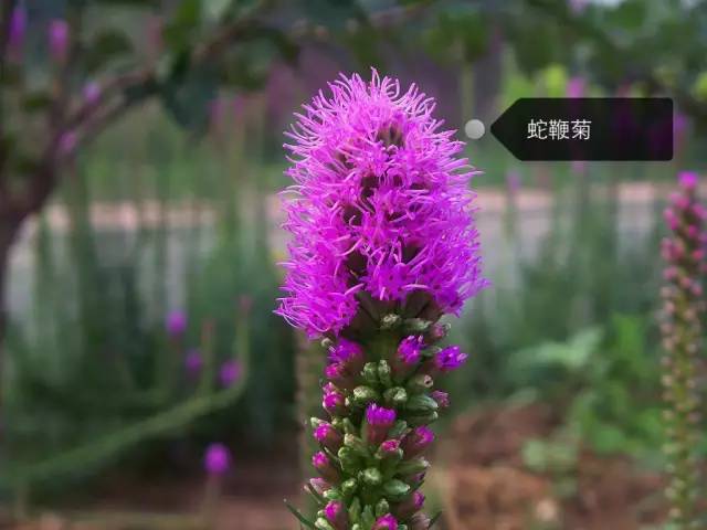 b4270ab938ff846e2f4cdc2c6015c80c.jpg