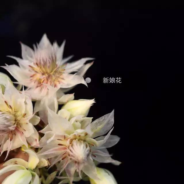 695336075a2af1f852ae67617c5901c6.jpg
