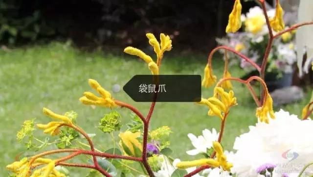 67a2598cb01da6b14338a0409b3f0422.jpg