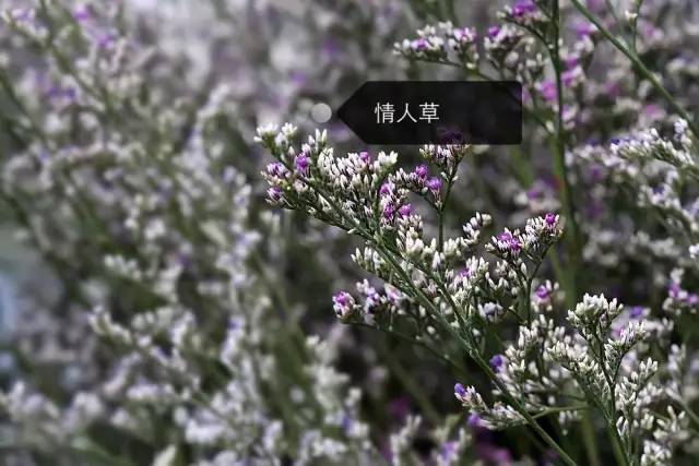 a5802f1a5bea16a70338813b53b60989.jpg