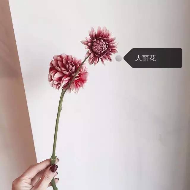 08cb7d0e042c16e27aee0132e265624b.jpg