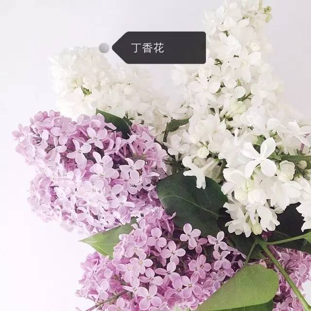 5e8238709d53a22182e7bd6b0a5a0693.jpg