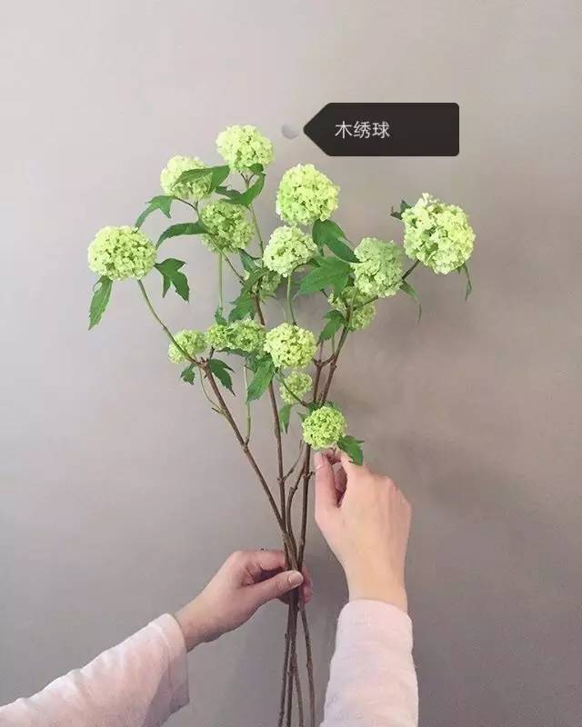 32a639e3d477af4d3a4304e63773d775.jpg
