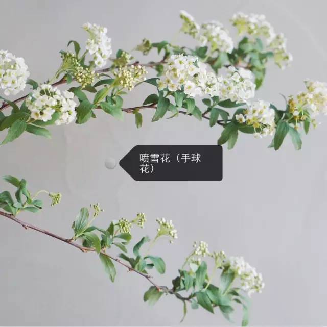3a87be195cb961662c27efb594073237.jpg