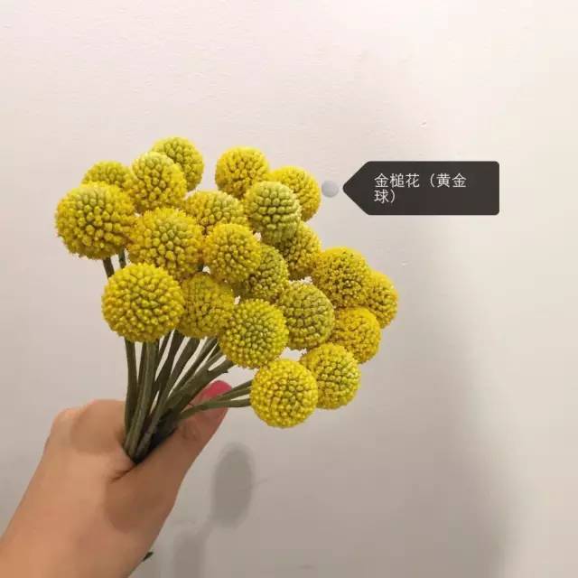 8df119f09ab8ae04fd99e44b526e33ba.jpg