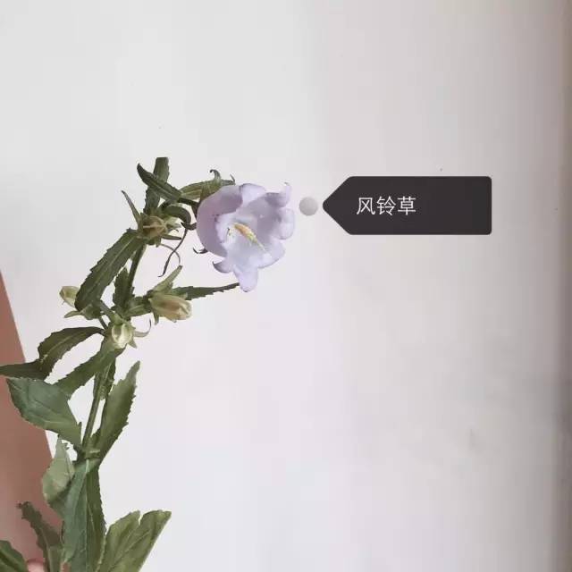 66d81a5346fe5a35558151a00bcbedc4.jpg