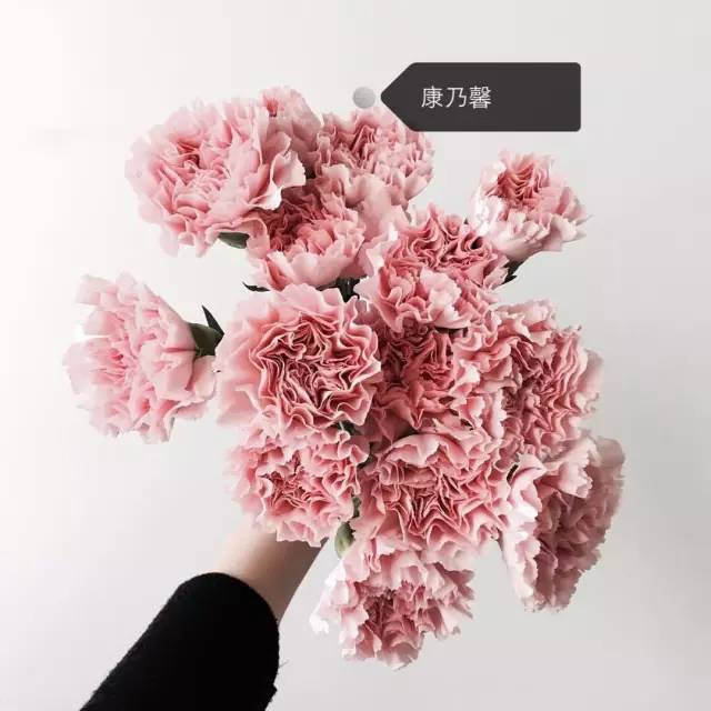 0cf5588ad9dc3f64e697d8abb78e8d99.jpg