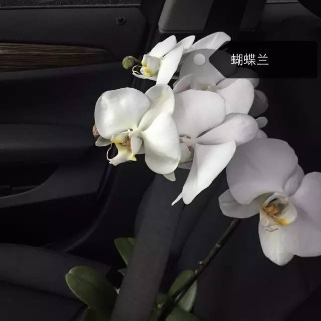 8ba93a323aa0738cbb1568d3adcfcdb9.jpg