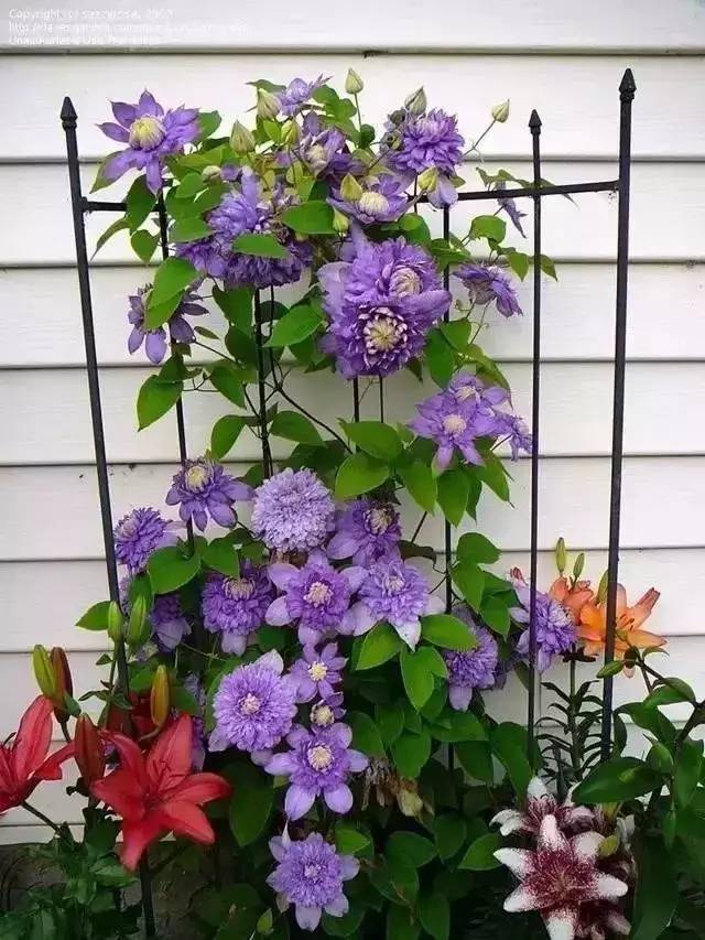 713bf6549283df04701679af84c50d3b.jpg