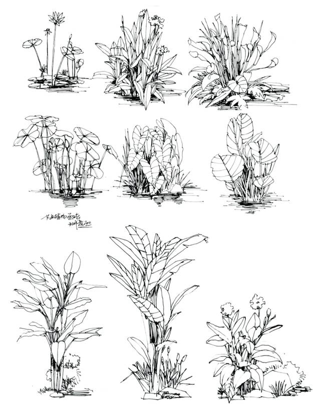 228d57ae001dd047db03a0ebdd47f4cc.jpg