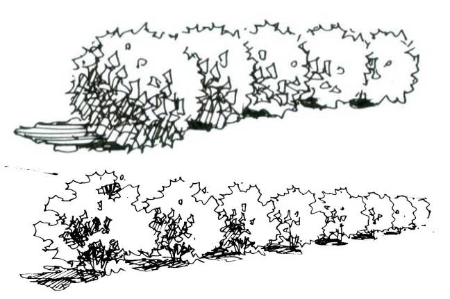 66bea2c3dfc64b81df0c7abc25e4739f.jpg