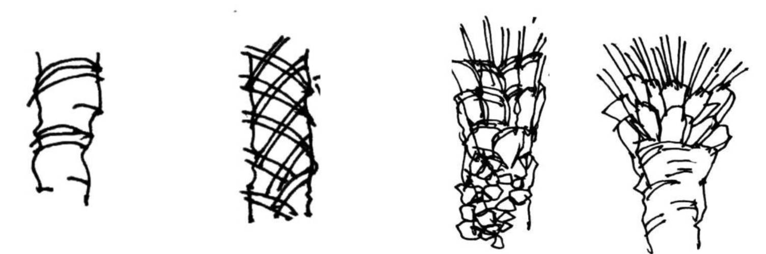 77a837d3349a3af9bc148a72c6873094.jpg