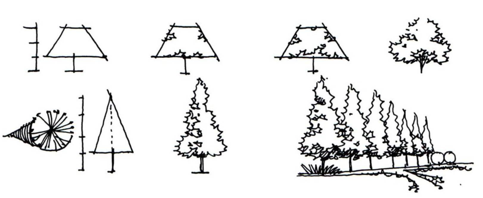 59450882e47436e3f6d32b08664a9e6d.jpg