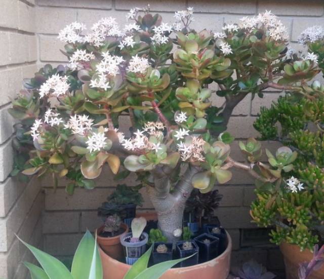 7612d770b1f7e504a94115dc1ebbb7ca.jpg