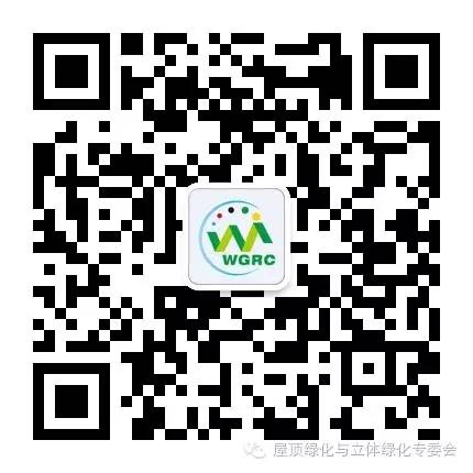 ee56729dbaa3b42fbac27c23e5cbf0c1.jpg