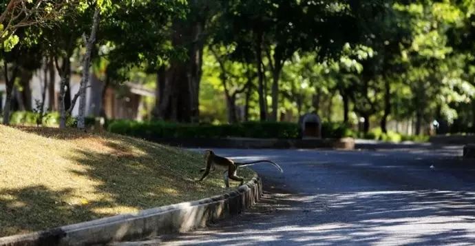 d5bbe54b1df23d1179aa1a990c161e1c.jpg