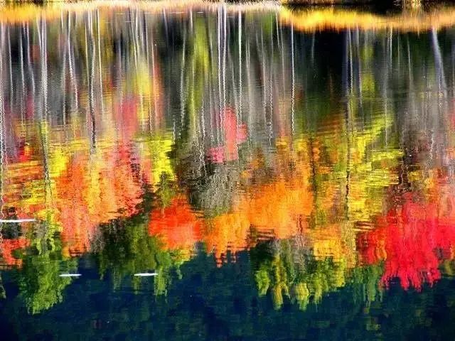fd21154654de163d7004846b2b18938b.jpg
