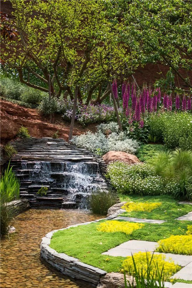 植物造景美的不像话