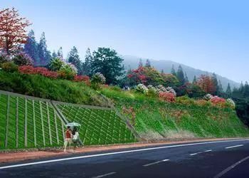 边坡绿化的一些工艺!