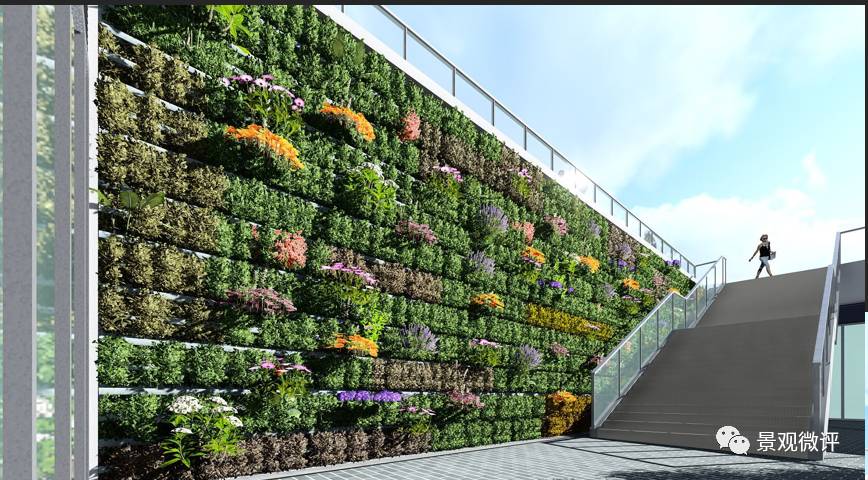 垂直绿化的做法和案例