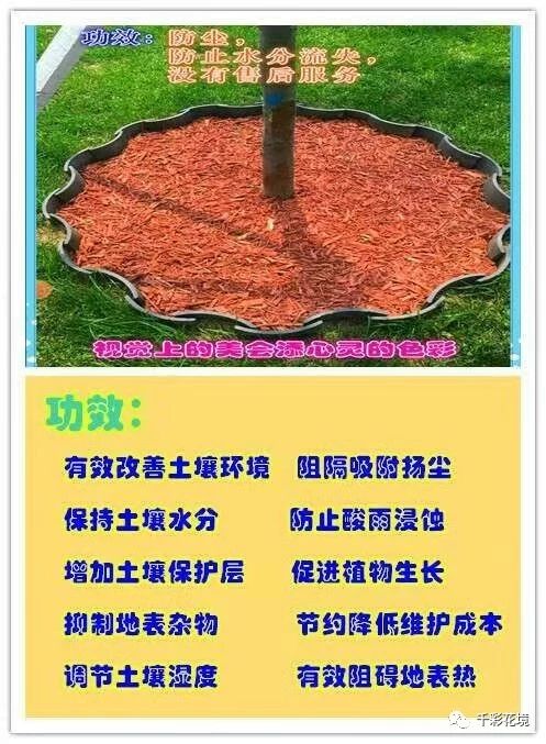 625c50bb5350e97ba0a5c0d9757ddd4f.jpg