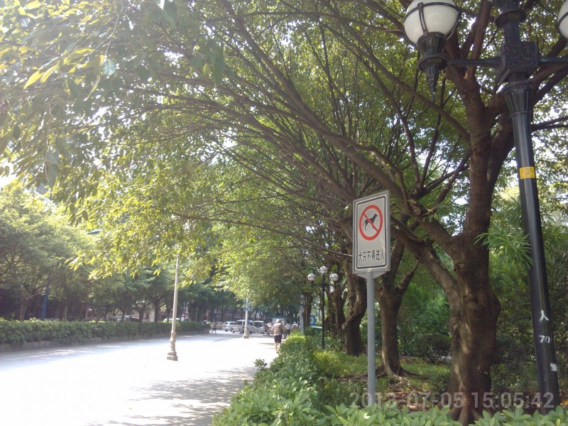 IMG_20130705_150542.jpg