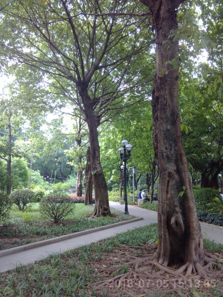 IMG_20130705_151305.jpg